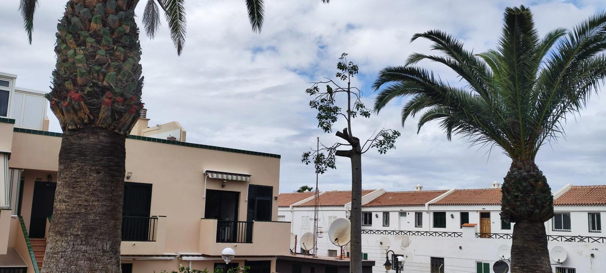 Costa Del Silencio Atlantico I Διαμέρισμα Arona  Εξωτερικό φωτογραφία